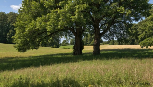 A charming day featuring a landscape