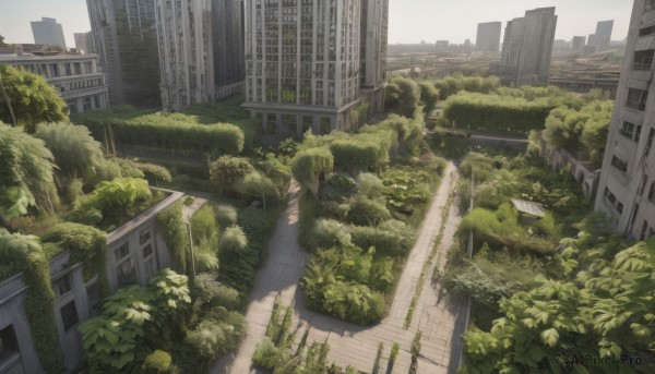 outdoors,sky,day,tree,no humans,window,plant,ground vehicle,building,scenery,city,cityscape,ruins,skyscraper,moss,overgrown,post-apocalypse,bush