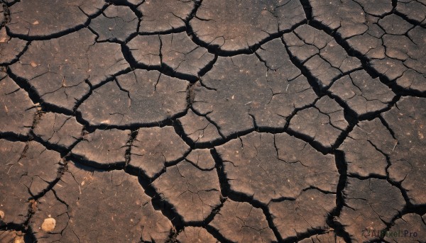 outdoors,tree,no humans,from above,scenery,branch,bare tree,crack,water,fire,reflection