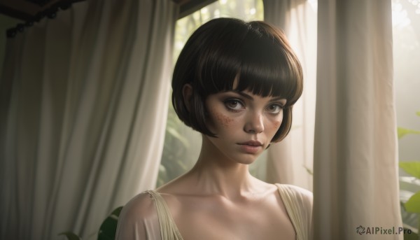 1girl,solo,looking at viewer,short hair,bangs,brown hair,black hair,brown eyes,closed mouth,collarbone,upper body,indoors,blunt bangs,lips,see-through,window,bob cut,plant,curtains,portrait,freckles,realistic,nose,eyelashes,leaf,sunlight,backlighting,pillar,column