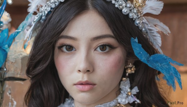 1girl,solo,long hair,looking at viewer,brown hair,black hair,hair ornament,brown eyes,jewelry,closed mouth,earrings,necklace,blurry,lips,parted bangs,eyelashes,depth of field,blurry background,bird,feathers,gem,portrait,close-up,realistic,nose,feather hair ornament,bangs,water