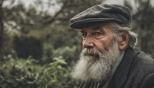 solo,looking at viewer,1boy,hat,closed mouth,jacket,upper body,white hair,male focus,outdoors,necktie,blurry,tree,black headwear,blurry background,facial hair,portrait,beard,realistic,mustache,old,old man,shirt,white shirt,grey hair,day,collared shirt,black jacket,depth of field,scar,formal,suit,nature,black necktie,manly,wrinkled skin