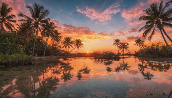 outdoors, sky, cloud, water, tree, dutch angle, no humans, cloudy sky, plant, scenery, reflection, sunset, palm tree, sun, horizon