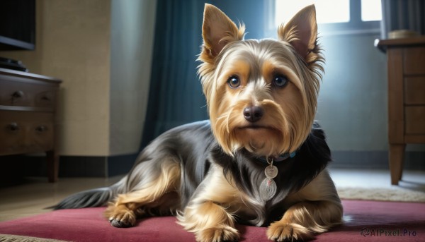 The majestic beauty of a dog set within a dynamic day