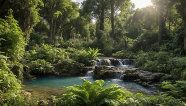 outdoors,day,water,tree,no humans,leaf,sunlight,grass,plant,nature,scenery,forest,light rays,rock,sunbeam,river,waterfall,landscape,moss,stream,sky