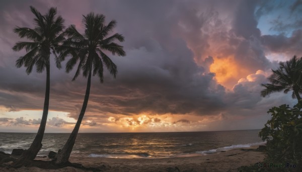 outdoors,sky,cloud,water,tree,no humans,ocean,beach,sunlight,cloudy sky,scenery,sunset,sand,palm tree,sun,horizon,shore,waves,island