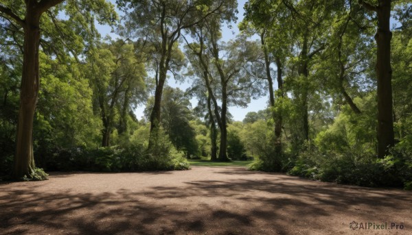 outdoors,sky,day,cloud,tree,blue sky,no humans,shadow,sunlight,grass,nature,scenery,forest,road,bush,shade,path,plant,realistic