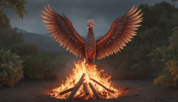 A unique subject framed by the beauty of a calm fiery outdoors