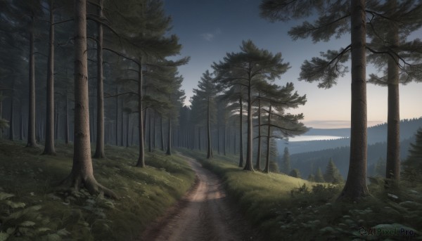 A landscape in a picturesque sunset day