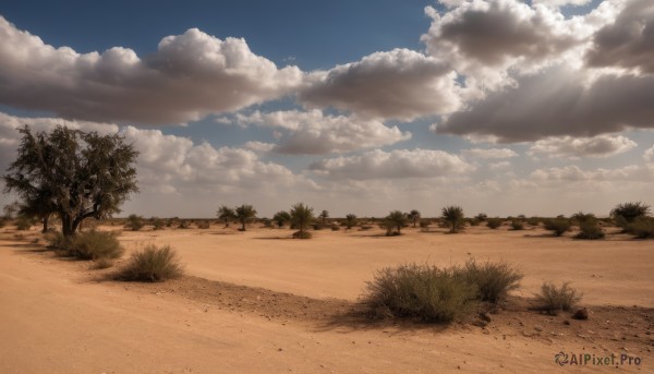 outdoors,sky,day,cloud,tree,blue sky,no humans,cloudy sky,grass,nature,scenery,sand,road,bush,path,beach,sunlight,plant,landscape,desert