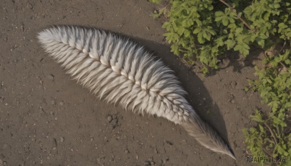 outdoors,wings,tree,no humans,shadow,leaf,from above,feathers,plant,scenery,branch,day,artist name,signature,grass,realistic,wall