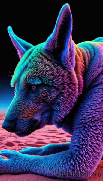A vibrant cat captured in dynamic scene