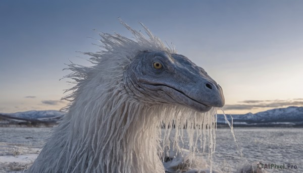 closed mouth,yellow eyes,outdoors,sky,day,water,no humans,ocean,animal,scenery,monster,mountain,realistic,creature,solo,cloud,from side,blue sky,scales,sunrise,kaijuu