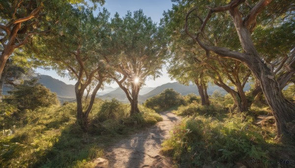 A delightful capture of a landscape within day