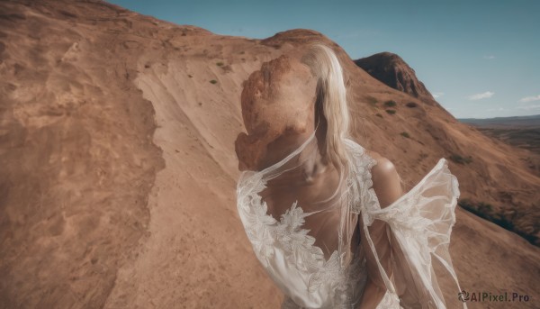 1girl,solo,long hair,blonde hair,dress,bare shoulders,upper body,ponytail,white hair,outdoors,wings,sky,day,dark skin,from behind,dark-skinned female,blue sky,dutch angle,back,scenery,mountain,backless outfit,realistic,sand,facing away,desert,breasts,cleavage,medium breasts,cloud,white dress