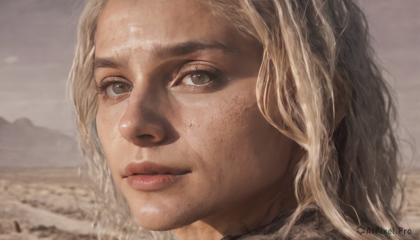 1girl,solo,long hair,looking at viewer,blonde hair,1boy,brown eyes,closed mouth,male focus,outdoors,sky,blurry,lips,grey eyes,blurry background,portrait,close-up,freckles,realistic,nose,eyelashes,desert