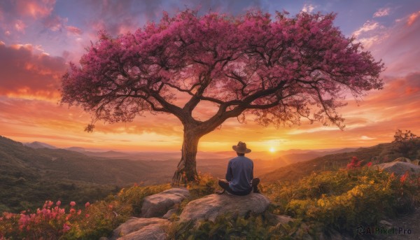 solo, 1boy, sitting, flower, male focus, outdoors, sky, cloud, from behind, tree, cloudy sky, grass, scenery, sunset, rock, mountain, sun