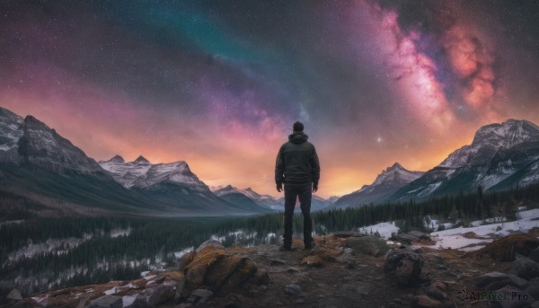 solo,short hair,black hair,1boy,standing,jacket,male focus,outdoors,sky,pants,from behind,black jacket,night,star (sky),nature,night sky,scenery,snow,starry sky,rock,mountain,facing away,wide shot,mountainous horizon,long sleeves,boots,grass,milky way