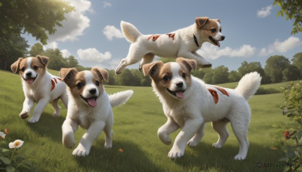 open mouth,flower,outdoors,sky,day,tongue,cloud,tongue out,tree,blue sky,no humans,animal,cloudy sky,grass,plant,white flower,nature,scenery,running,dog,animal focus,looking at viewer,signature,realistic