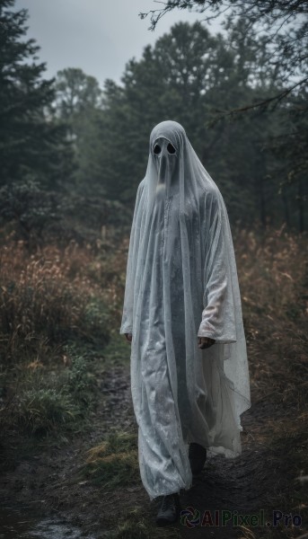 solo,looking at viewer,long sleeves,1boy,standing,full body,male focus,outdoors,day,black footwear,blurry,tree,no humans,mask,grass,nature,cloak,1other,forest,walking,robe,gloves,boots,sleeves past wrists,colored skin,facing viewer,monster,ghost,horror (theme)