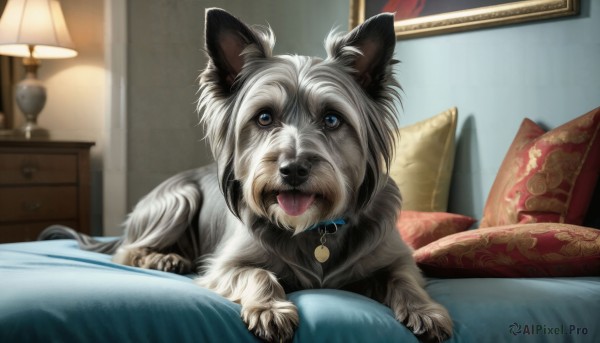 A dynamic view of a dog in dynamic scene