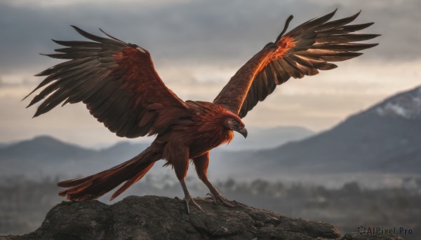 solo,open mouth,standing,full body,outdoors,wings,sky,day,cloud,blurry,pokemon (creature),no humans,blurry background,bird,flying,mountain,animal focus,talons,spread wings,from side,glowing,animal,cloudy sky,fire,nature,scenery,glowing eyes,realistic,landscape,crow,grey sky,eagle