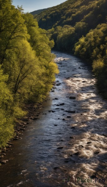 A graceful landscape captured in day