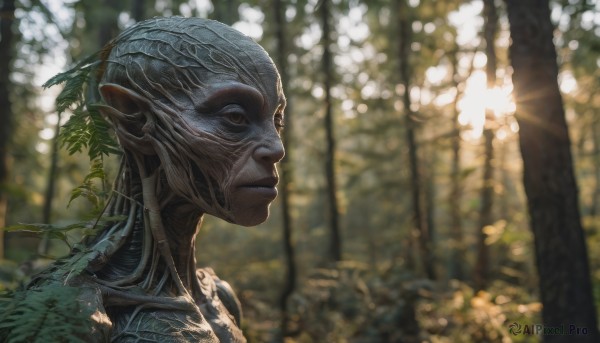 A alien portrayed in a inviting sunlight