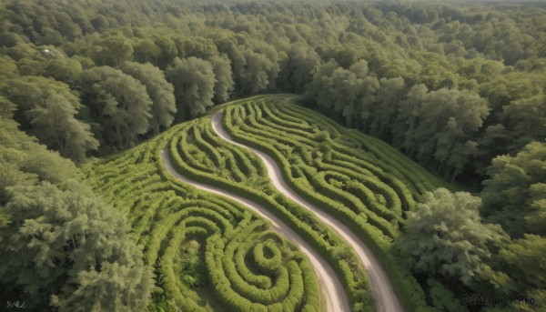 A stunning landscape within a lush outdoors