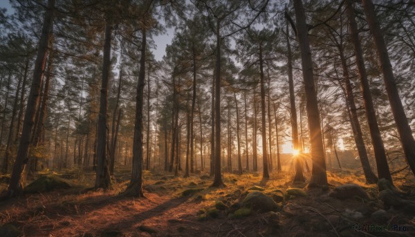 outdoors, sky, tree, sunlight, nature, scenery, forest, sunset, light rays, rock