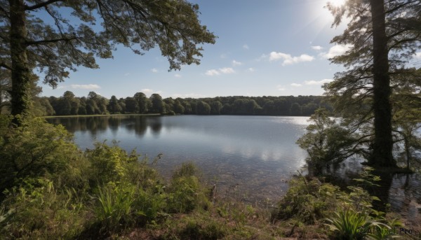 outdoors,sky,day,cloud,water,tree,blue sky,no humans,sunlight,cloudy sky,grass,plant,nature,scenery,forest,reflection,mountain,sun,river,landscape,lake