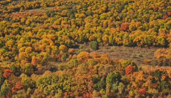 outdoors,tree,no humans,leaf,traditional media,nature,scenery,forest,road,painting (medium),autumn leaves,river,autumn,landscape,orange theme,bush