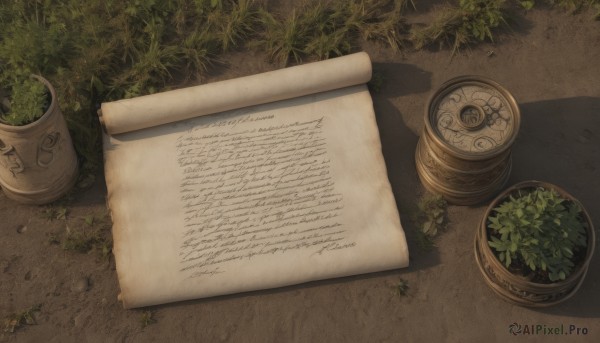 outdoors,no humans,shadow,from above,grass,plant,scenery,paper,newspaper,still life,english text,book,leaf