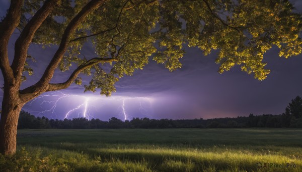 outdoors,sky,cloud,tree,no humans,night,cloudy sky,grass,nature,scenery,forest,electricity,lightning,landscape,purple sky,flower,signature,night sky,horizon