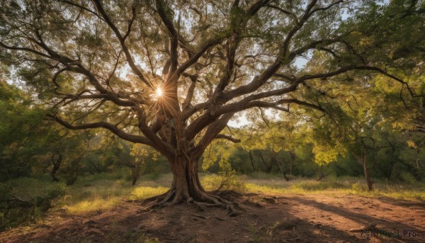 The timeless beauty of a landscape in a picturesque day