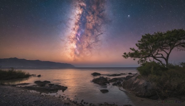 A glimpse of a unique subject in a ethereal sunset outdoors