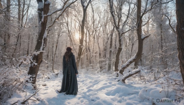 solo, brown hair, 1boy, standing, male focus, outdoors, hood, tree, nature, scenery, snow, forest, winter, bare tree