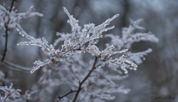 weapon,blurry,tree,gun,no humans,depth of field,blurry background,from above,robot,mecha,snow,flying,science fiction,branch,solo,flower,outdoors,blood,plant,scenery,still life