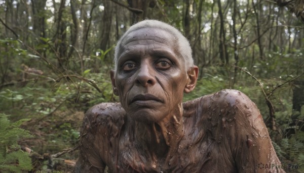 solo,looking at viewer,1boy,brown eyes,closed mouth,upper body,flower,male focus,outdoors,day,blurry,black eyes,tree,facial hair,bandages,nature,forest,realistic,branch,bald,old,dirty,old man,wrinkled skin,plant,portrait