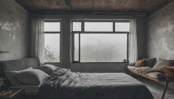 day,indoors,tree,pillow,book,no humans,window,bed,on bed,table,sunlight,bottle,plant,curtains,scenery,couch,blanket,potted plant,bedroom,wall,carpet,rug