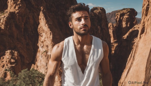 solo,short hair,brown hair,shirt,black hair,1boy,bare shoulders,closed eyes,upper body,male focus,outdoors,sky,sleeveless,day,muscular,facial hair,pectorals,muscular male,beard,realistic,chest hair,pectoral cleavage,arm hair,tank top,stubble,cliff