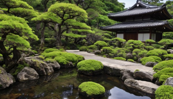 outdoors,sky,day,water,tree,no humans,grass,building,nature,scenery,forest,rock,architecture,east asian architecture,river,stone,pond,stone lantern,cloud,plant,reflection,bush,moss