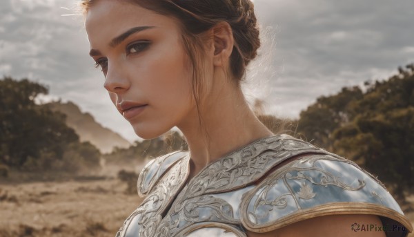 1girl,solo,looking at viewer,short hair,brown hair,brown eyes,closed mouth,upper body,braid,outdoors,sky,cloud,signature,hair bun,armor,blurry,black eyes,tree,lips,blurry background,cloudy sky,shoulder armor,portrait,nature,pauldrons,breastplate,realistic,nose,artist name,from side