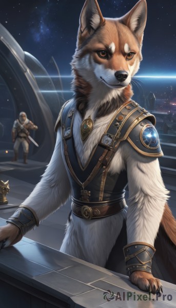 1boy,brown eyes,jewelry,closed mouth,standing,tail,weapon,male focus,outdoors,multiple boys,sky,solo focus,belt,sword,artist name,armor,vest,night,animal,helmet,shoulder armor,gem,star (sky),night sky,furry,starry sky,pauldrons,dog,fantasy,vambraces,space,bracer,furry male,planet,spacecraft,fangs,faceless,shield,faceless male,stairs,realistic