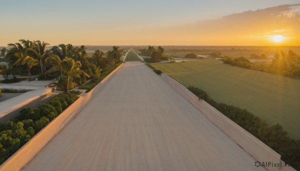 The elegance of a landscape in a tranquil sunset outdoors