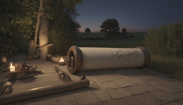 A unique subject in a picturesque sunset outdoors