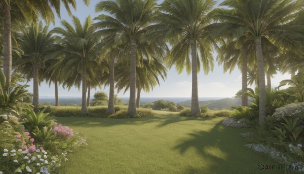 A landscape captured beautifully in a inviting day