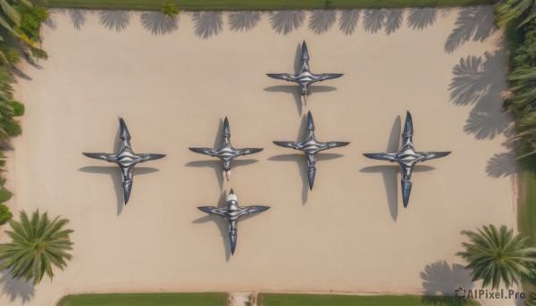 weapon,water,tree,no humans,shadow,leaf,border,grass,plant,brown background,ninja,forehead protector,kunai,still life,shuriken,outdoors,from above,scenery,sand