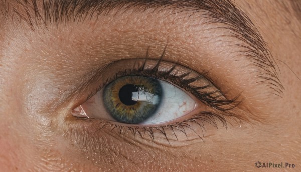 solo,looking at viewer,blue eyes,1boy,male focus,eyelashes,no humans,traditional media,close-up,1other,reflection,realistic,eye focus,yellow eyes