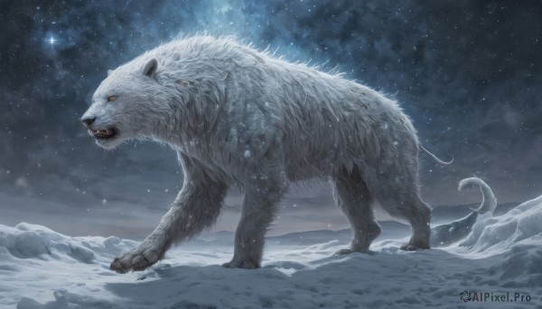 The beauty of a unique subject set in a calm snowy outdoors
